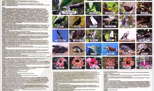 IMG-20260709-WA0038