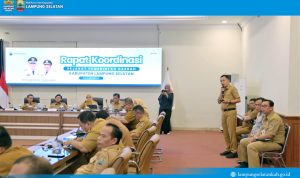publik digital